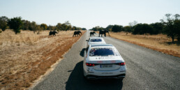 140 Years. 140 Places. Die neue S-Klasse tourt durch Afrika – Impressionen von ihrer Route durch Tansania und Botswana, von Dodoma bis zum Chobe-Nationalpark