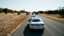 140 Years. 140 Places. Die neue S-Klasse tourt durch Afrika – Impressionen von ihrer Route durch Tansania und Botswana, von Dodoma bis zum Chobe-Nationalpark